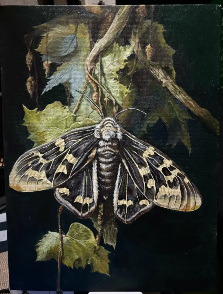 Painting study 18 from Honeylyn Guingguing’s paintings archive